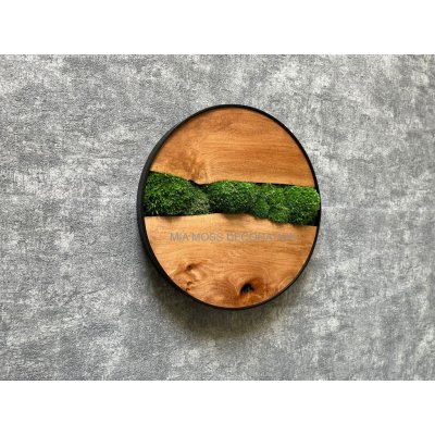 Mia Moss decoration - MECHOVÝ OBRAZ Ø 30cm – Zboží Dáma