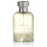 Burberry Weekend toaletní voda pánská 50 ml – Sleviste.cz
