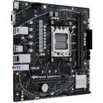 Asus PRIME A620M-K 90MB1F40-M0EAY0 – Zboží Živě