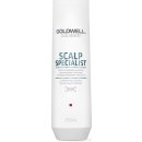 Goldwell Dualsenses Deep Cleansing Shampoo 250 ml