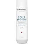 Goldwell Dualsenses Deep Cleansing Shampoo 250 ml – Zboží Mobilmania
