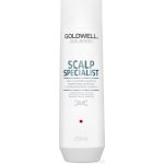 Goldwell Dualsenses Deep Cleansing Shampoo 250 ml – Hledejceny.cz