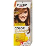 Pallete Color Shampoo 317/7-554 oříškově plavý – Zboží Mobilmania