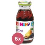 HiPP BIO Švestkový nektar 6 x 200 ml – Zboží Mobilmania