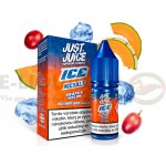 Just Juice Salt ICE Grape & Melon 10 ml 11 mg – Zbozi.Blesk.cz