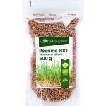 ZdravýDen Bio Ječmen semena na klíčení 500 g