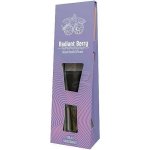 Relax Reed Diffuser Radiant Berry 100 ml – Hledejceny.cz