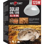 Repti Planet Solar UVA & UVB 125 W 007-41505 – Zboží Dáma