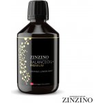 Zinzino BalanceOil + olej Premium 300 ml – Hledejceny.cz