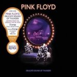 Pink Floyd - Delicate Sound of Thunder 2CD Remastered 2020 2 CD – Hledejceny.cz