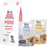 Brit Care Mini Grain-free Puppy Lamb 2 kg – Hledejceny.cz