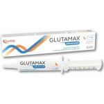 GlutaMax Advanced pasta pre mačky 30 ml – Hledejceny.cz