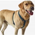 SOLOGNAC Postroj pro psa – Zboží Mobilmania