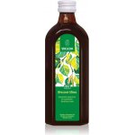 Weleda Březová šťáva BIO Bez cukru 250 ml – Zbozi.Blesk.cz