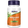 Doplněk stravy Now Foods Goldenseal 500 mg 50 kapslí