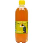 Stevikom Kombucha bancha citron bio 0,5 l – Zboží Dáma