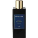 Angel Schlesser Les Eaux d'Un Instant Absolut Deep Leather parfémovaná voda unisex 100 ml – Hledejceny.cz