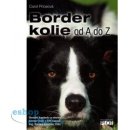 Border kolie - Carol Price