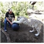 Boomer Ball 25 cm – Sleviste.cz