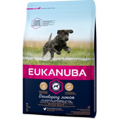 Eukanuba Puppy & Junior Large Breed 3 kg