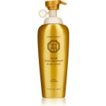 Daeng Gi Meo Ri Yulah Gold Treatment Posilující kondicionér na vlasy 500 ml – Sleviste.cz