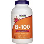 Now Foods Vitamin B-100 Complex 250 veg kapslí – Hledejceny.cz