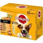 Pedigree Adult ve šťávě hovězí kuře krůta jehně 24 x 100 g – Hledejceny.cz