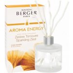Maison Berger Paris difuzér Aroma Energy 180 ml – Zbozi.Blesk.cz