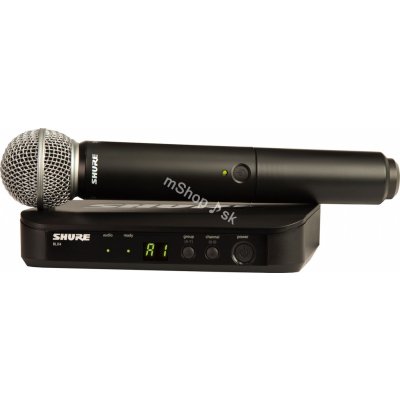 Shure BLX24E/PG58