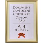 TRADAG Fotorámeček 21 × 29,7 cm, zlatý – Sleviste.cz