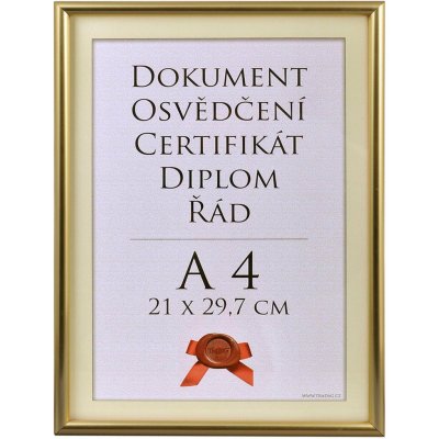 TRADAG Fotorámeček 21 × 29,7 cm, zlatý – Sleviste.cz