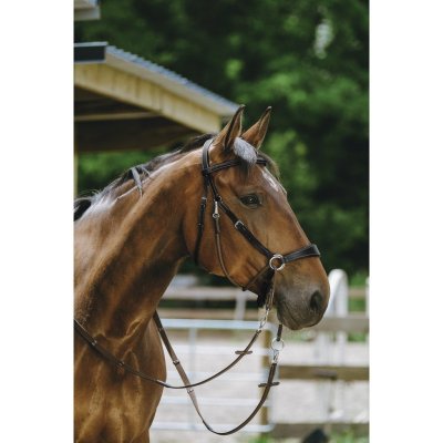 NORTON Bezudidlová uzdečka Hnědá – Zboží Mobilmania