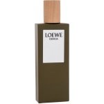 Loewe Esencia Loewe toaletní voda pánská 50 ml – Hledejceny.cz