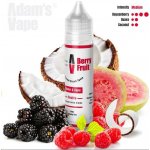Adams Vape Shake & Vape Berry Fruit 10 ml – Zboží Dáma
