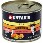 Ontario multi fish and salmon oil 200 g – Hledejceny.cz