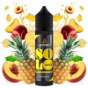 Příchuť pro míchání e-liquidu Bombo Solo Juice Pineapple Peach S & V 20 ml