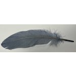 Veniard Husí Peří Goose Shoulder Stiff Medium Grey 4 ks – Hledejceny.cz