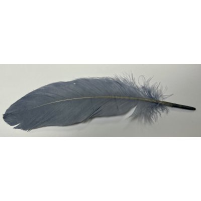 Veniard Husí Peří Goose Shoulder Stiff Medium Grey 4 ks – Hledejceny.cz