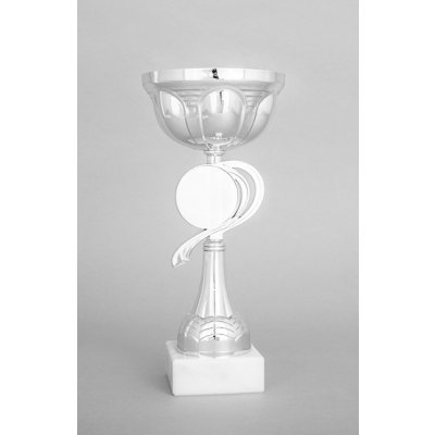 Stříbrný sportovní pohár 23 cm 29 cm 26 cm – Sleviste.cz