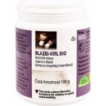 MRL Blazei Žampion brazilský BIO 100 g – Hledejceny.cz