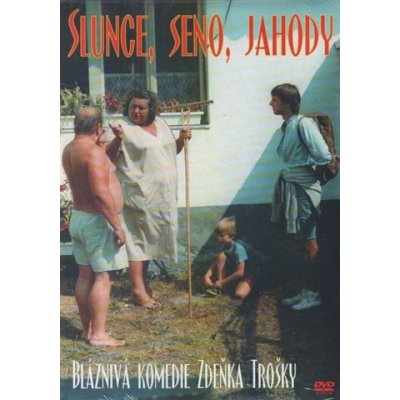 Slunce, seno, jahody DVD