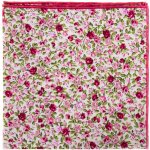 Avantgard Kapesníček do saka Lux 583-51042 – Hledejceny.cz