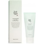Beauty of Joseon Green Plum Refreshing Cleanser 100 ml – Zboží Mobilmania