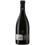 Vigna Del Gal vino bianco Frizzante COL FONDO il Rito Extra Brut 11% 0,75 l (holá láhev) – Hledejceny.cz