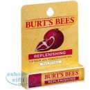 Burt´s Bees Lip Care regenerační balzám na rty (with Pomegranate Oil) 4,25 g