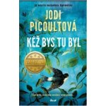 Kéž bys tu byl - Jodi Picoult – Zboží Dáma