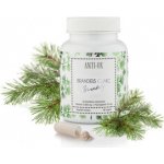 Detox Brandeis Clinic 60 kapslí – Hledejceny.cz