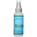 Saloos Natur aroma airspray přírodní osvěžovač vzduchu Eukalyptus 50 ml – HobbyKompas.cz