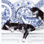 Ubrousek 33x33cm Kočky v cibuláku – Zboží Dáma