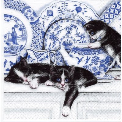 Ubrousek 33x33cm Kočky v cibuláku – Zboží Dáma